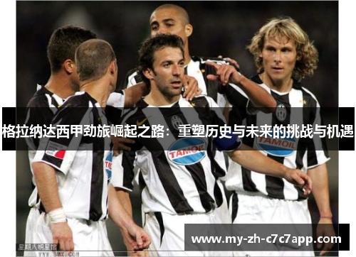格拉纳达西甲劲旅崛起之路：重塑历史与未来的挑战与机遇