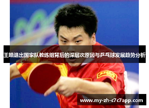 王皓退出国家队教练组背后的深层次原因与乒乓球发展趋势分析